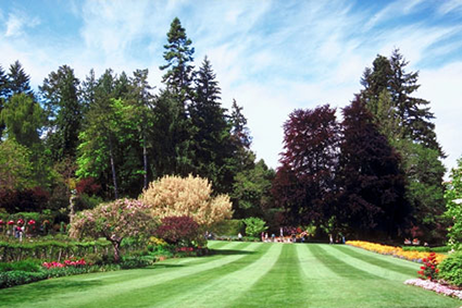 Custom Landscaping Design Custom Landscaping Design
